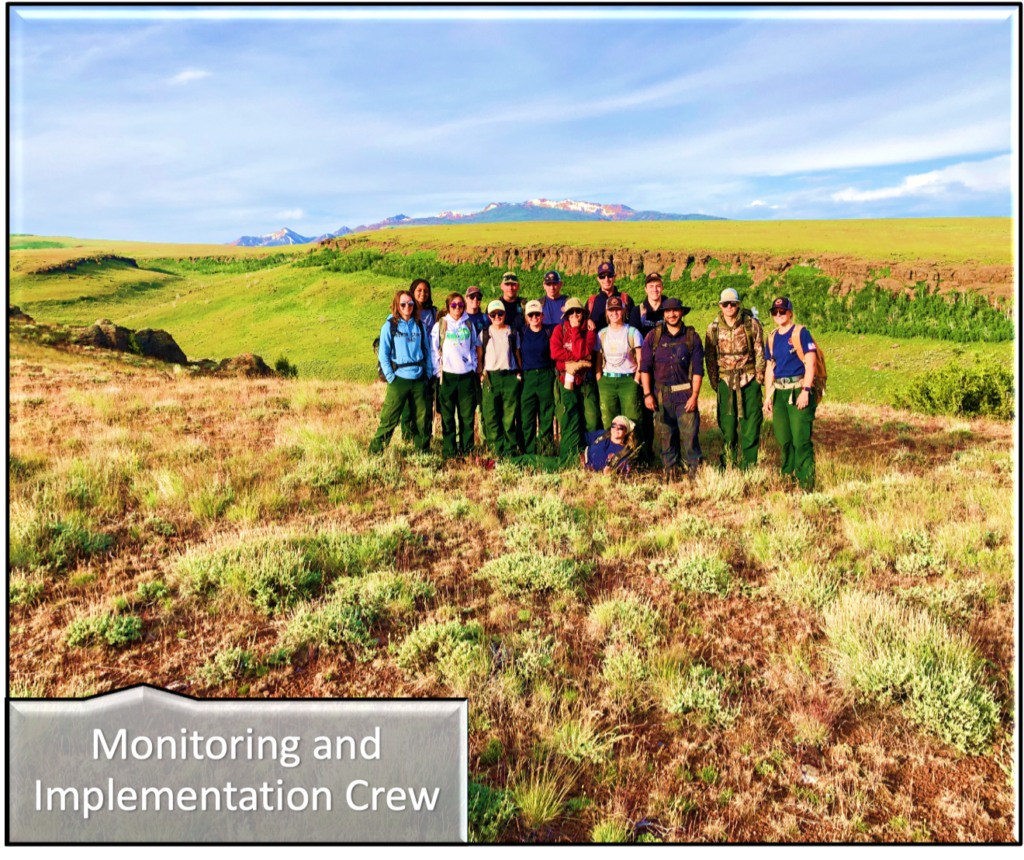 The monitoring and implementation crew standing on a field