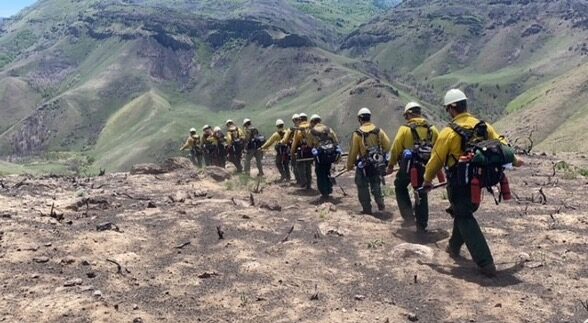 A group of firefighter walking on a mountain